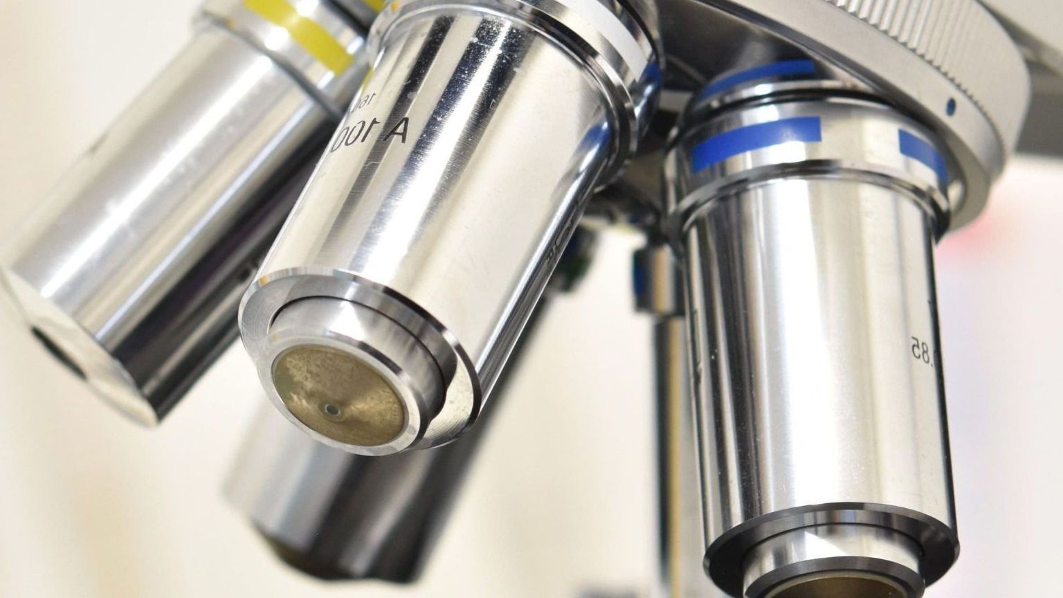 Pipeline Direct Biologics